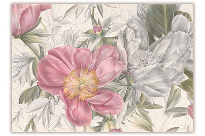 A vibrant floral composition with large pink peonies and detailed leaves in shades of green and gray. The intricate hand-drawn style and soft, natural colors create a delicate and elegant aesthetic. Ideal for use in botanical artwork or nature-inspired decor themes.