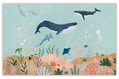 Ocean Odyssey