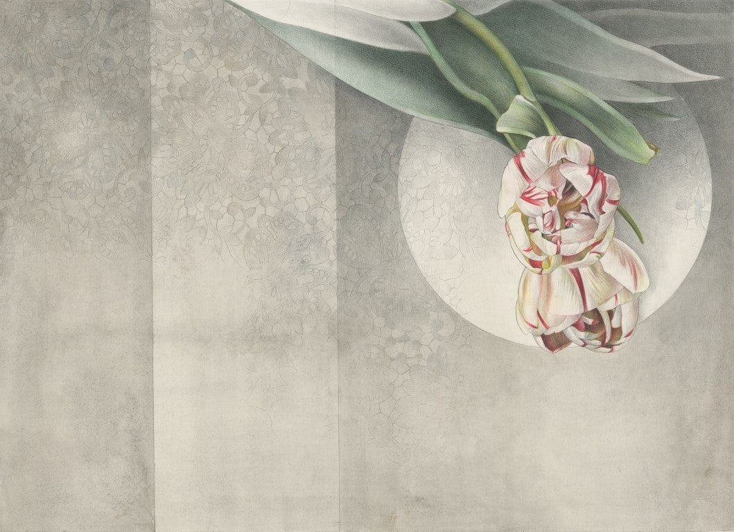 Abraccio - Custom Wallpaper Mural l Wallab Egypt. A detailed and artistic wall mural featuring a large, intricately drawn flower with soft pink and white petals and green leaves against a textured, patterned background. The design blends botanical elements with a subtle geometric circle, creating a harmonious and elegant visual effect.